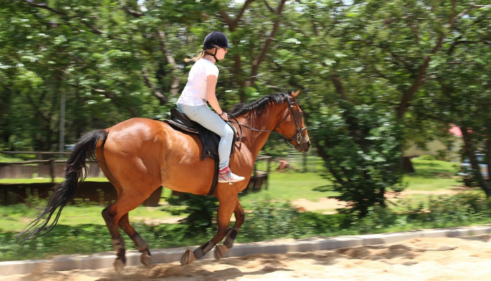 horseback-riding-class