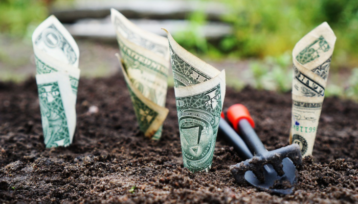 money-growing-dirt